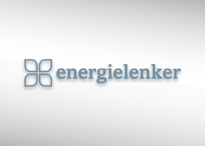 Energy guide logo